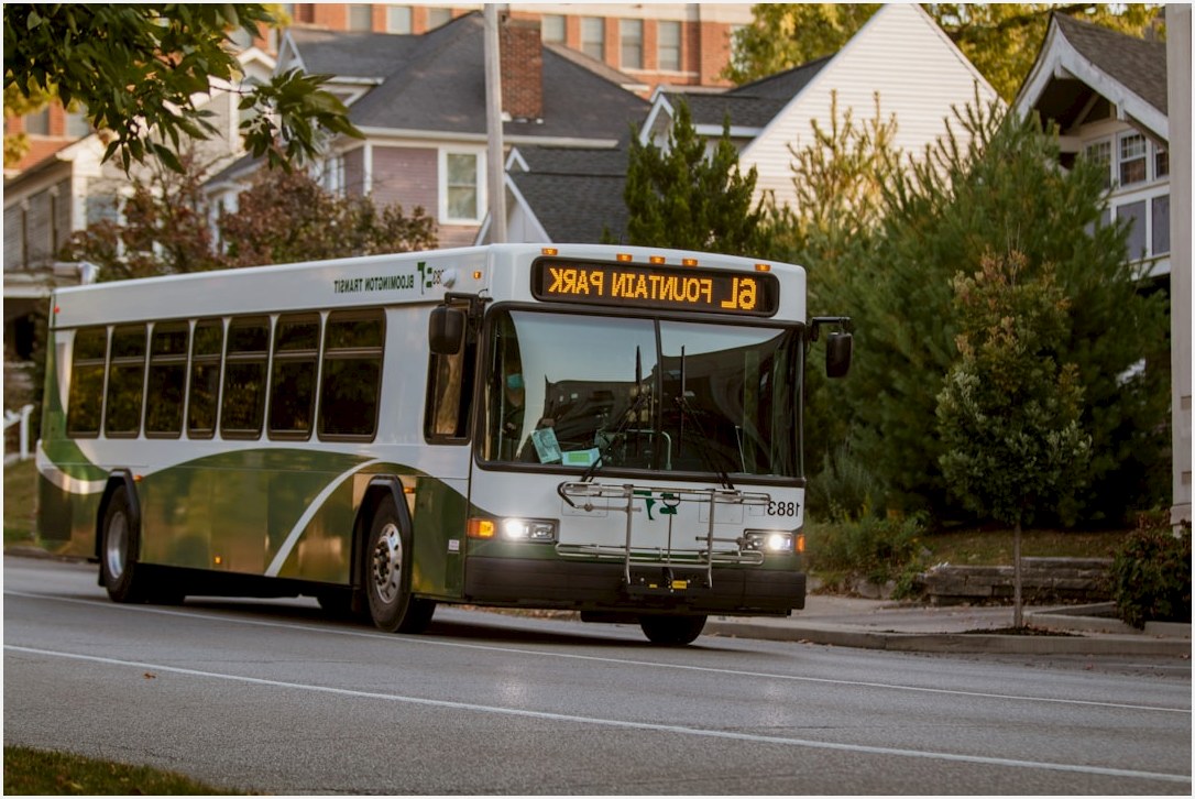 white and green bus on road during daytime