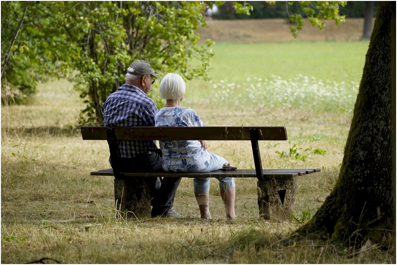 retiree, pensioners, elderly, couple, bench, park, retiree, elderly, elderly, elderly, elderly, elderly, couple