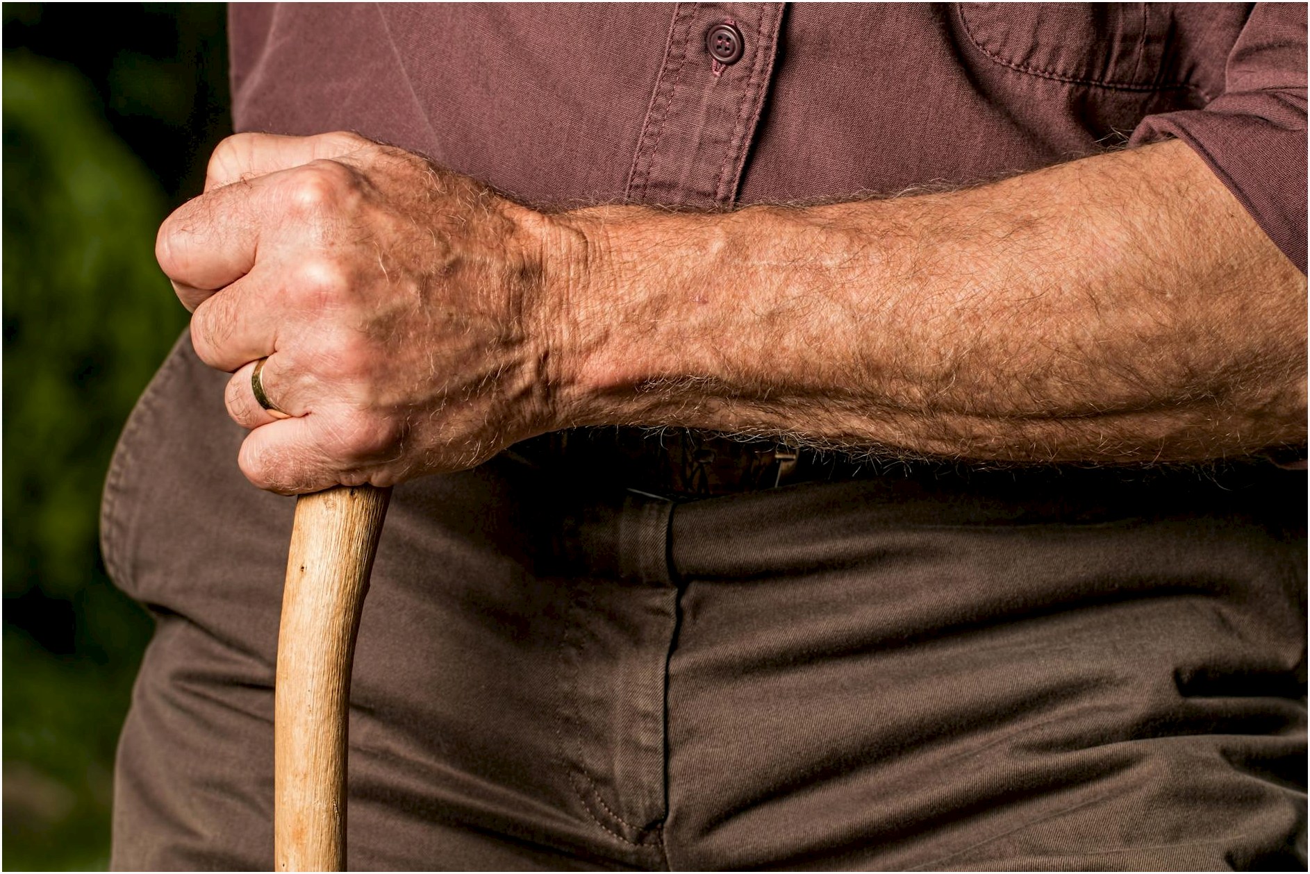 Close-up of a senior adult