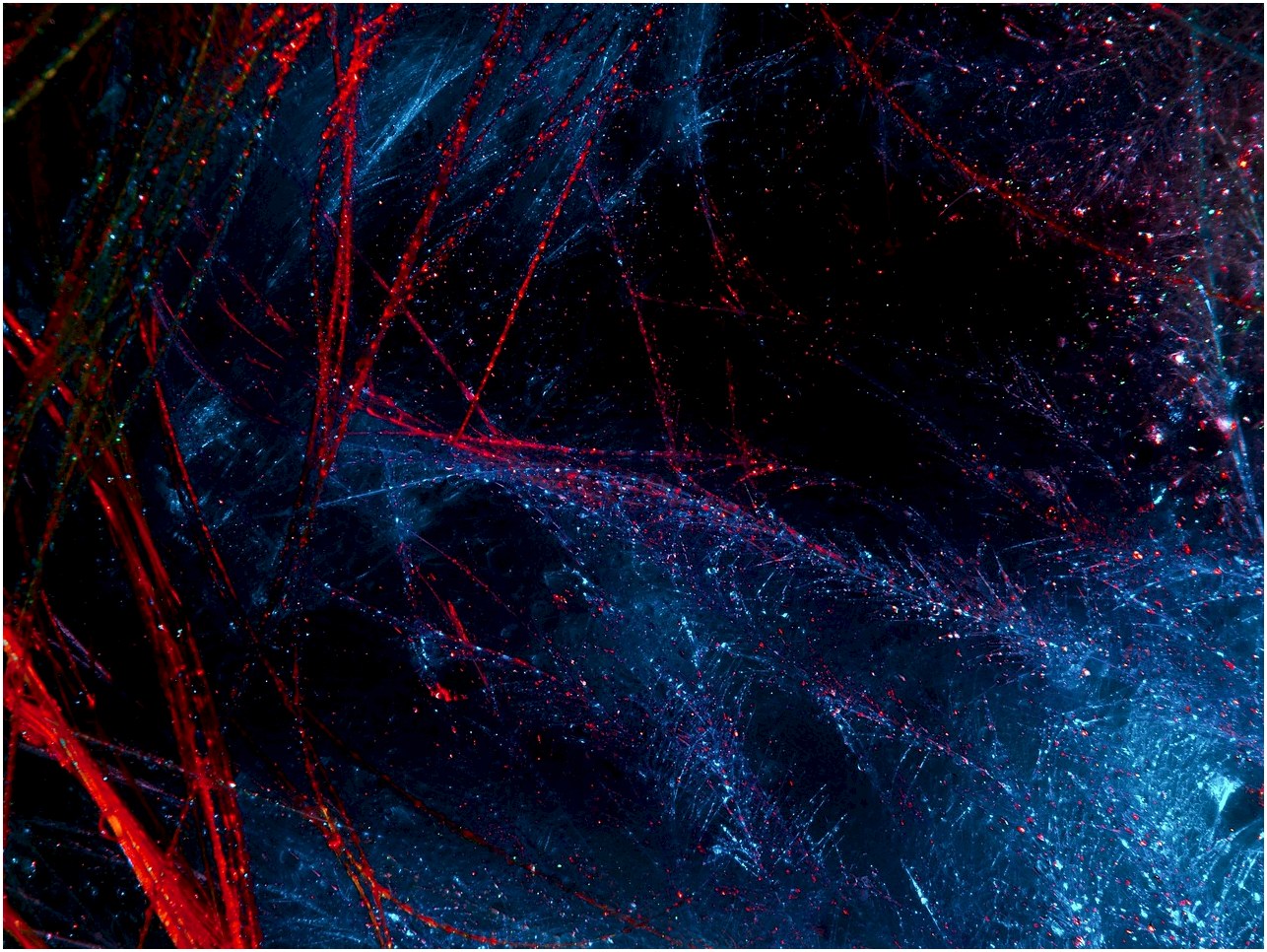 abstract, free background, full hd wallpaper, free wallpaper, painting, feathers, windows wallpaper, hd wallpaper, beautiful, energy, artistic, colorful, creative, dark, wallpaper 4k, desktop backgrounds, decorative, pattern, paint, style, cool backgrounds, wallpaper hd, artwork, digital art, wallpaper, background, decoration, 4k wallpaper 1920x1080, beautiful wallpaper, laptop wallpaper, light, black, 4k wallpaper, line, fractal, mac wallpaper, effect, color
