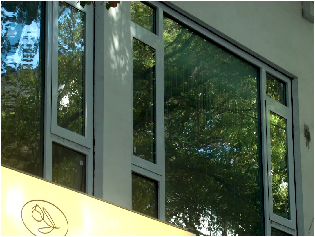 a close up of a window with trees in the background