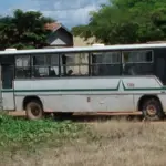 Carteira da Pessoa Idosa: como emitir e usar no transporte interestadual