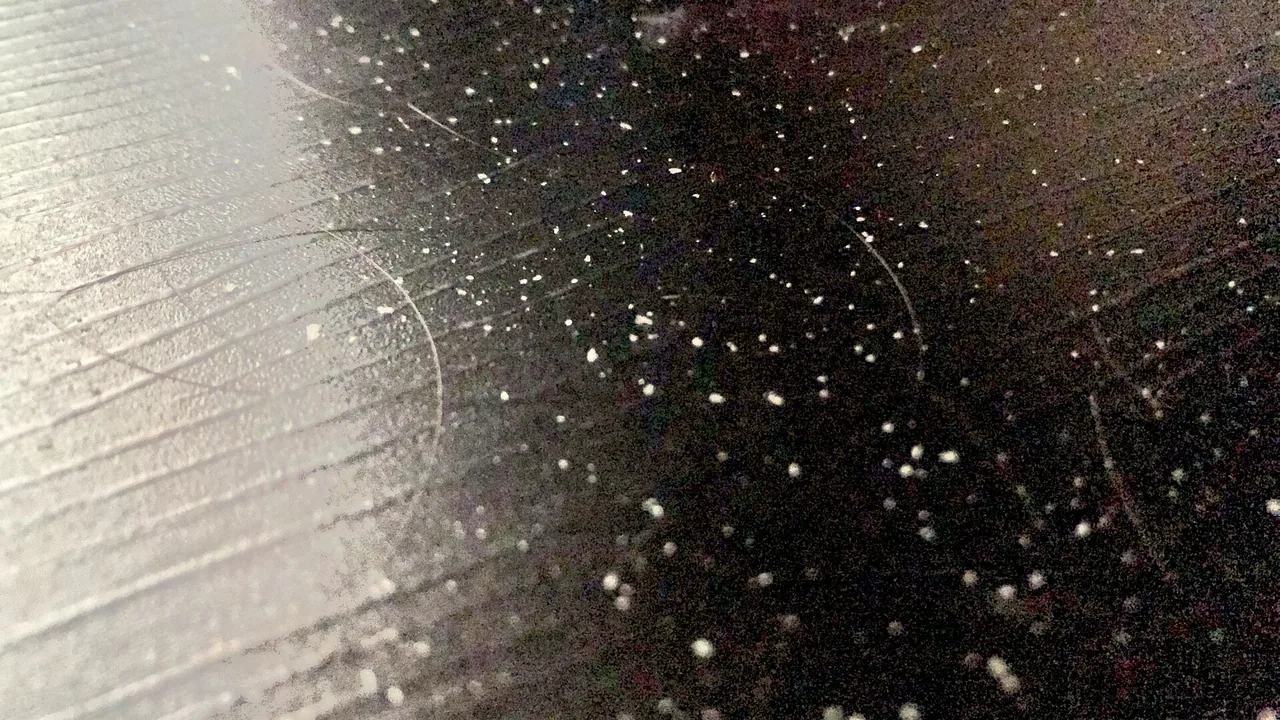 Detalhe de fios de cabelo com pequenas escamas visíveis no couro cabeludo