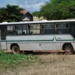 Gratuidade no transporte urbano para idosos: quem tem direito e como usar